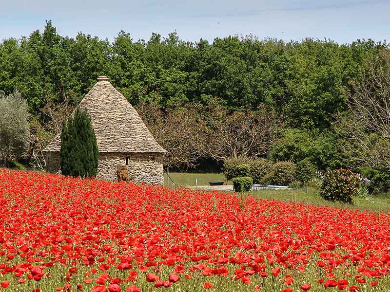 paysage campagne Montignac-Lascaux